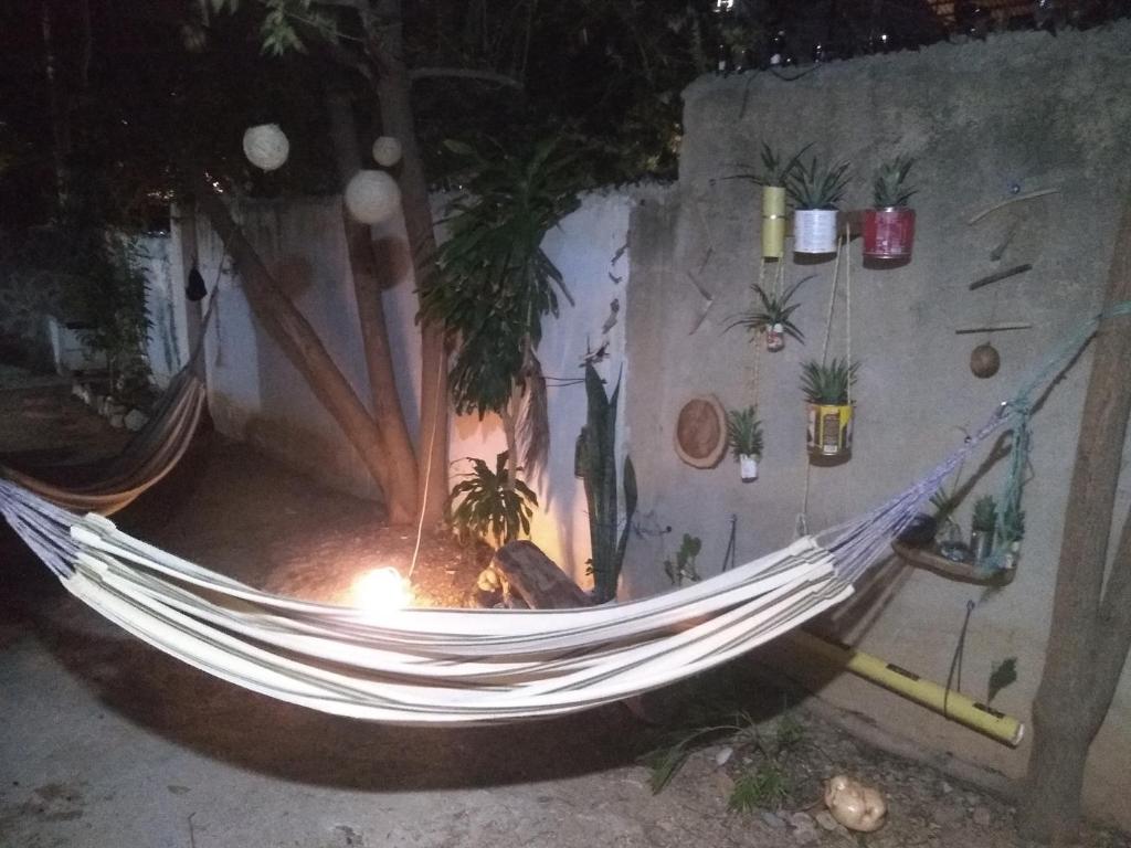 a hammock in a room with potted plants at GiGi House 2 in Taganga