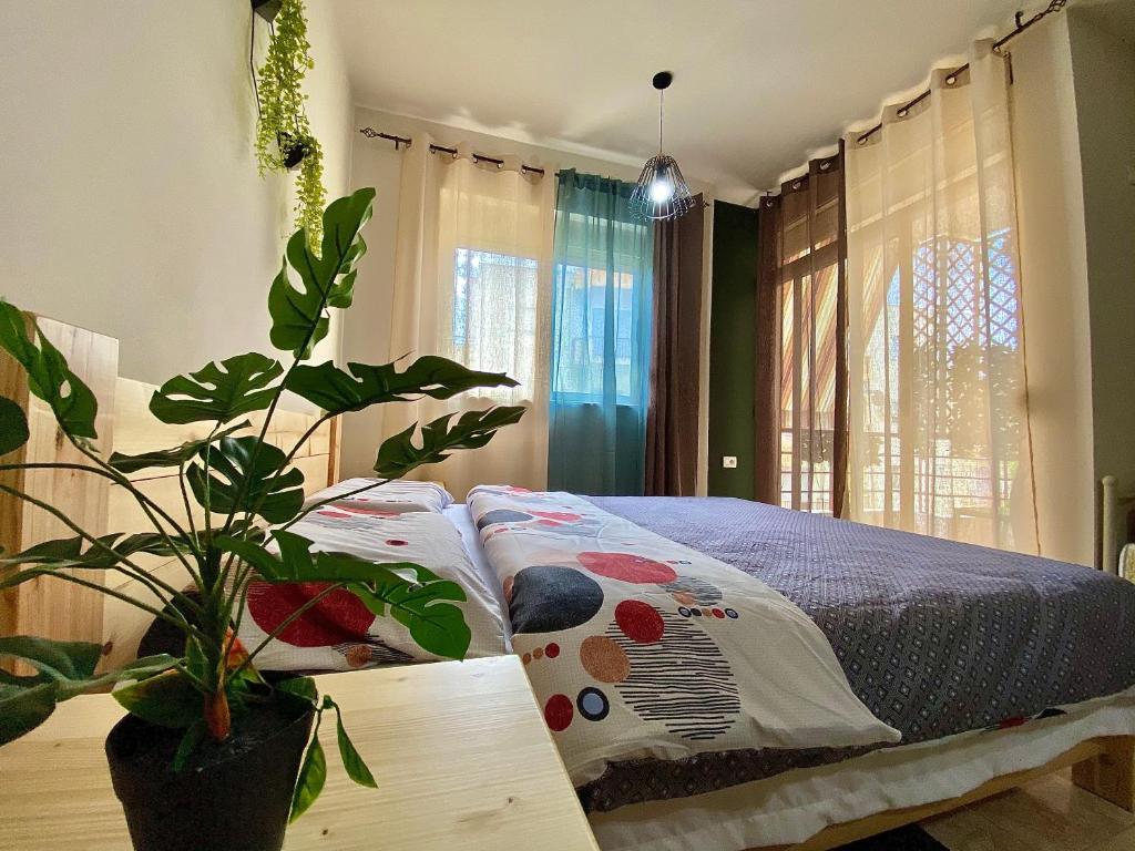 Delight Apartments - Image 7