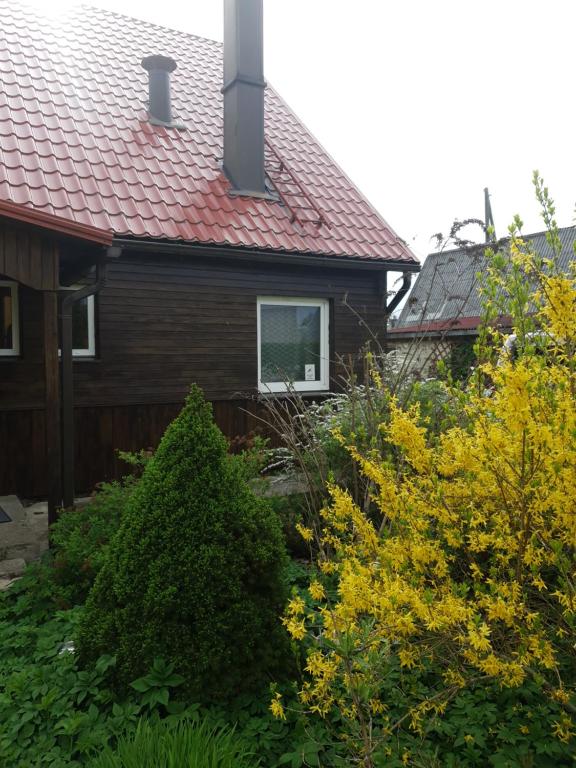 a house with a red roof and some bushes at Kāpas in Jūrkalne