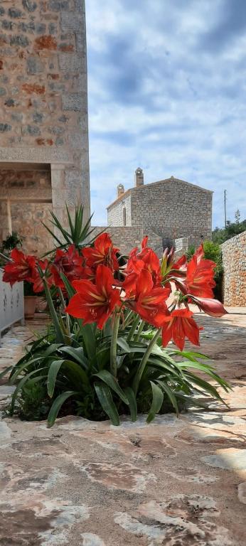 Fotografie z fotogalerie ubytování Koukouri Village v destinaci Kafióna