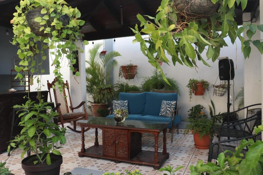 a patio with a blue couch and lots of plants at El Jardin de la Nonna in San Pedro Sula