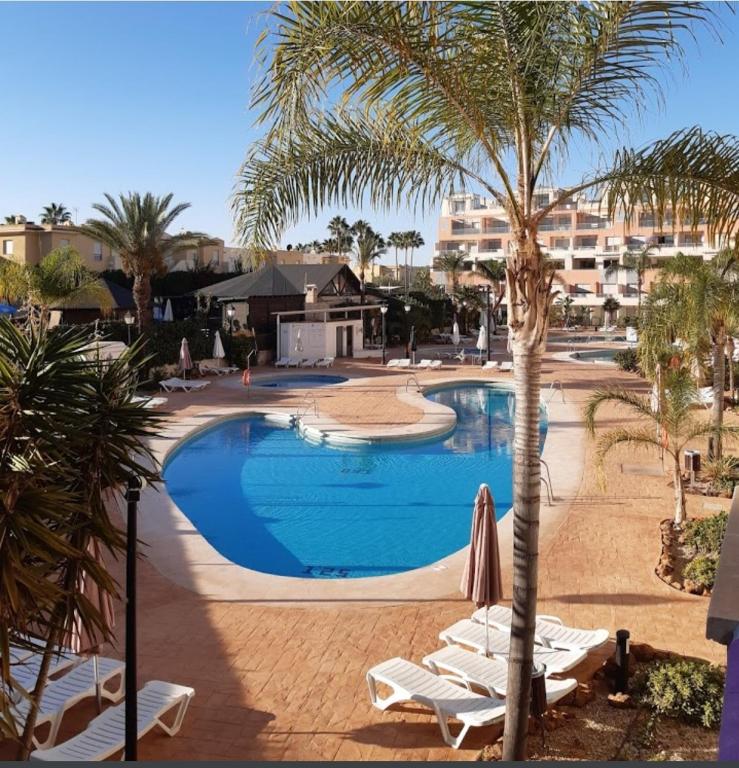 a swimming pool with lounge chairs and a palm tree at Marina Rey Aparthotel Playa de Puerto Rey in Vera
