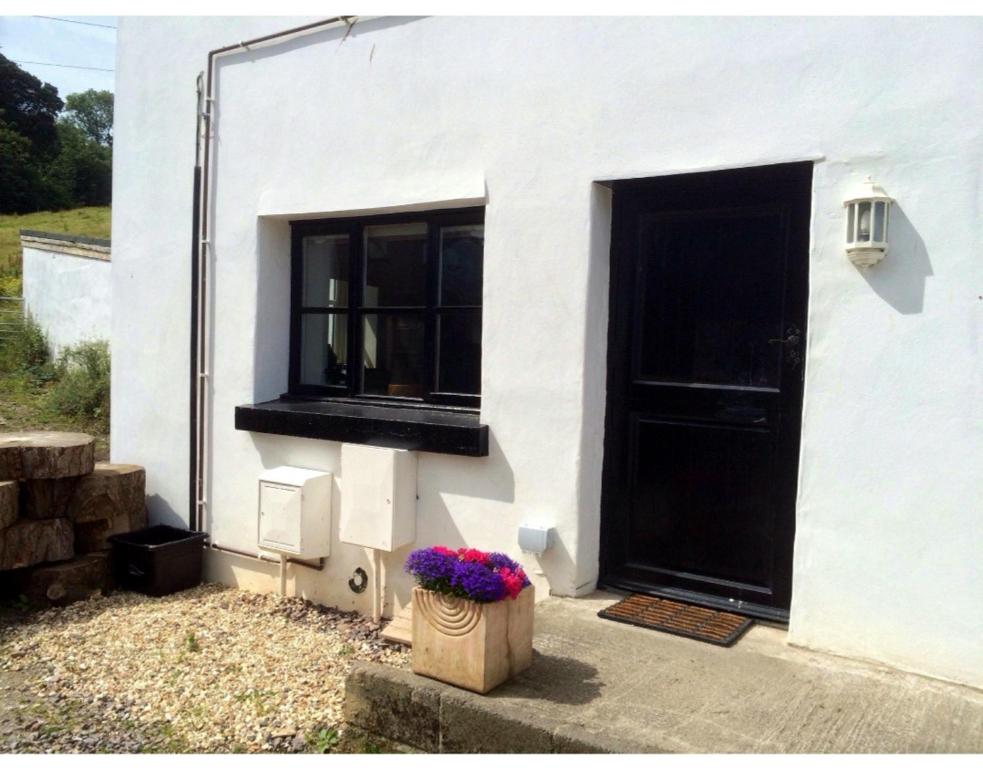 a white house with a black door and a flower pot at Laston Mews in Ilfracombe