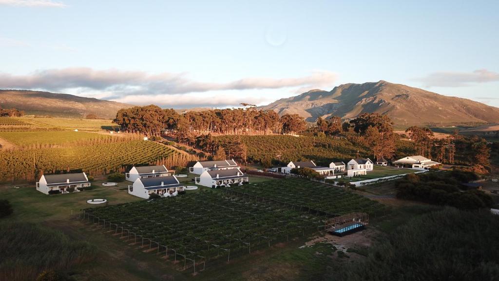 an aerial view of a vineyard with houses and mountains at Endless Vineyards at Wildekrans Wine Estate in Botrivier