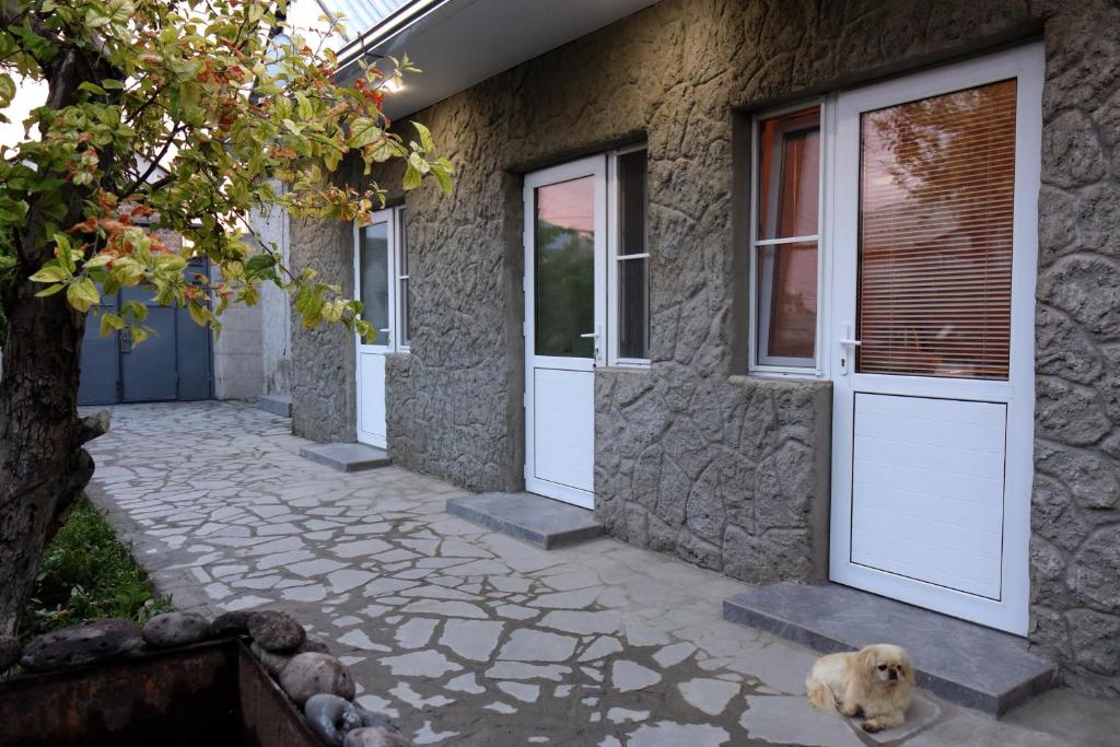 Domácí mazlíčci ubytovaní s hosty v ubytování Vanand Guest House
