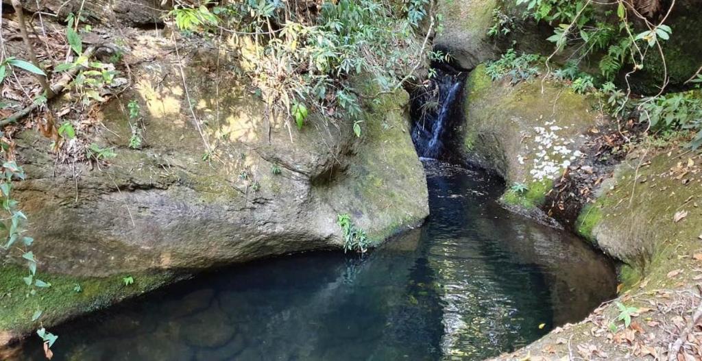  CASA GIRASSOL-Sítio Trilha das Flores