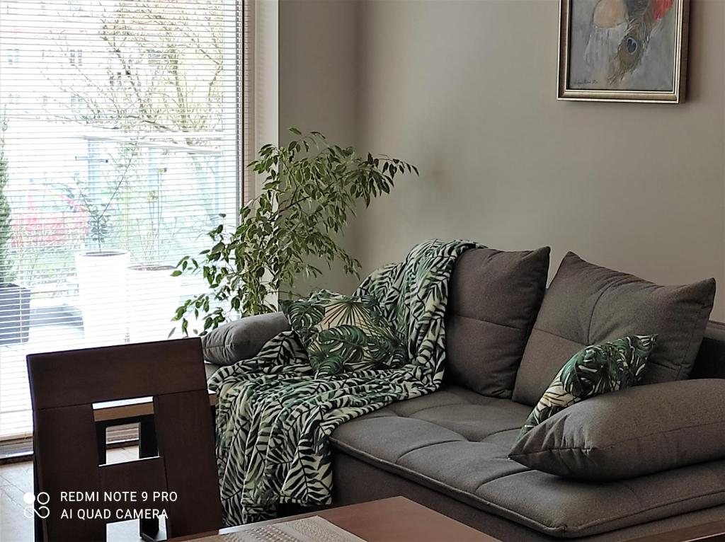 ein Wohnzimmer mit einem Sofa und einer Pflanze in der Unterkunft MAZURSKA DAMA LUXURY APARTAMENT in Giżycko