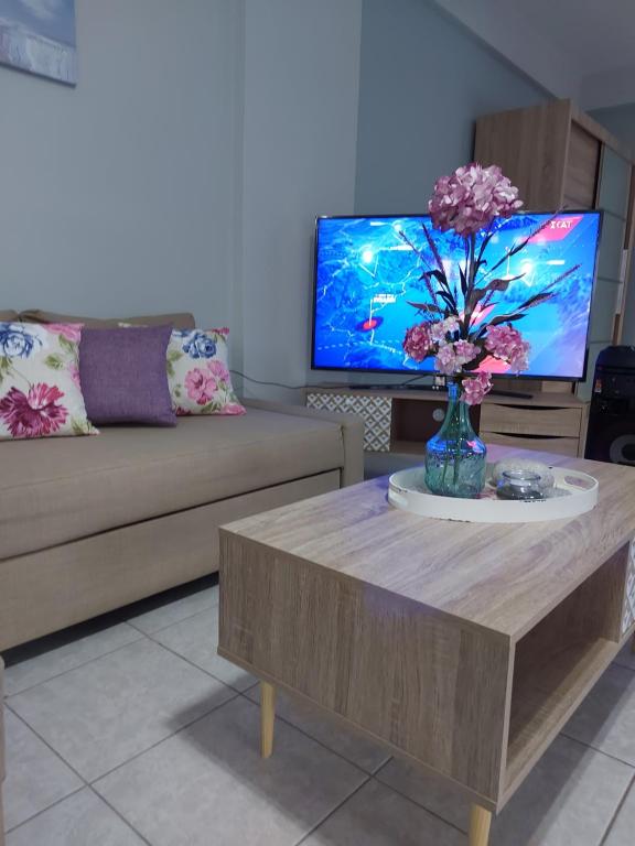 Televízia a/alebo spoločenská miestnosť v ubytovaní Violet Studio με πισίνα