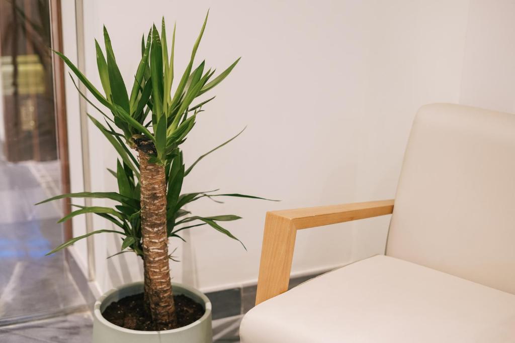 Debambú Atarazanas - Resim 33