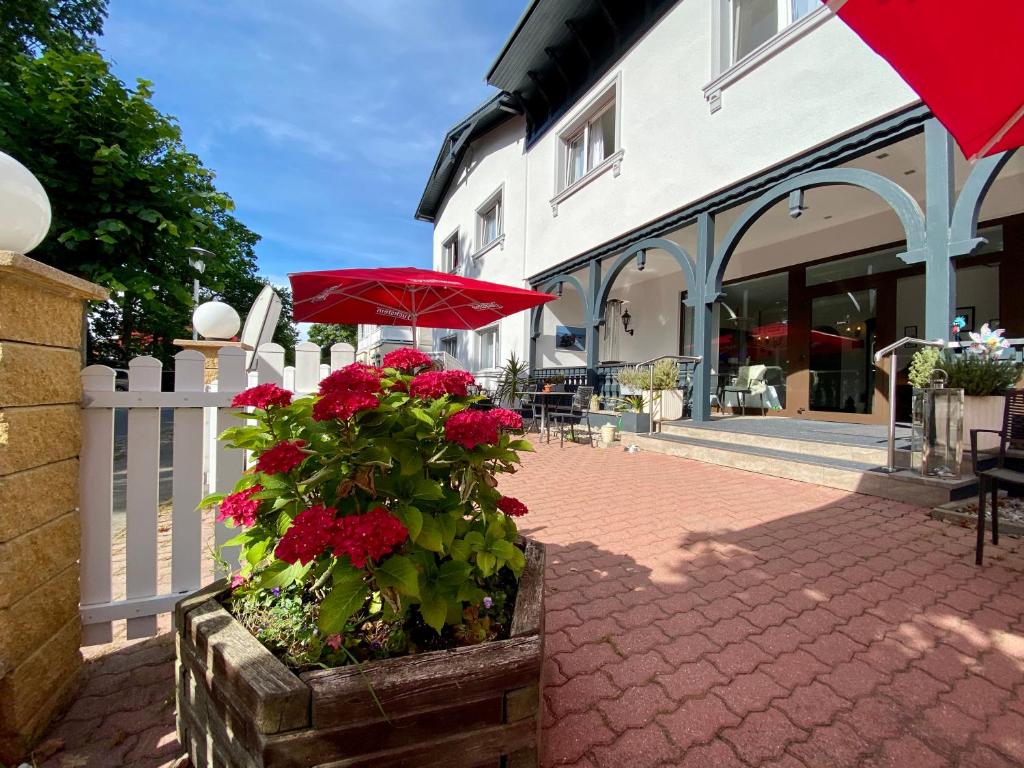 patio z czerwonym parasolem i czerwonymi kwiatami w obiekcie Hotel Altes Kurhaus w mieście Baabe