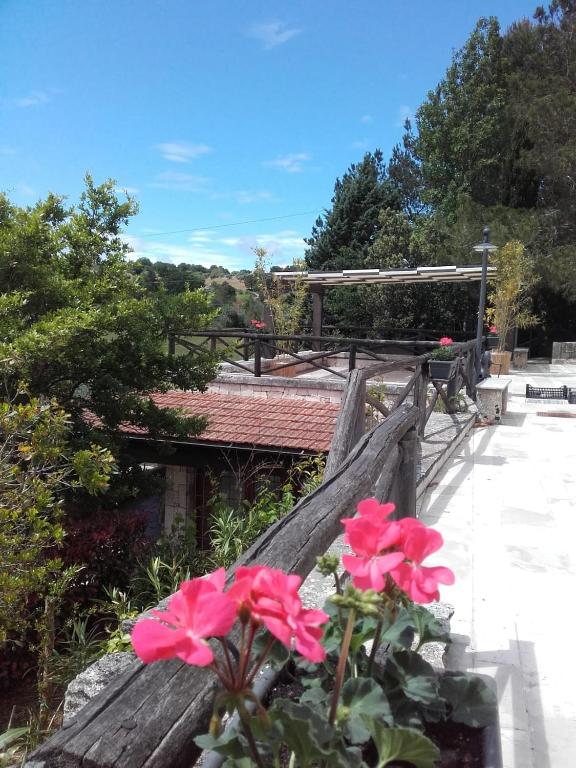 Balkon lub taras w obiekcie Trulli Bosco Selva