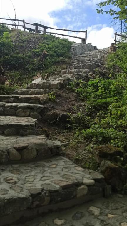 Foto dalla galleria di Private accommodation Kalezić a Mojkovac