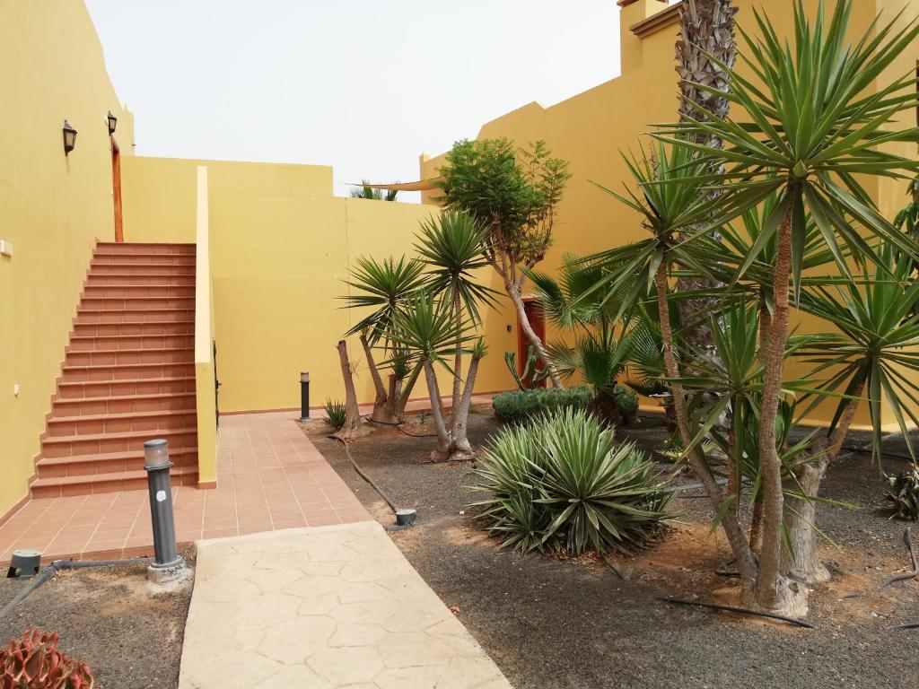 Fotografia z galérie ubytovania Marenazul v destinácii Corralejo