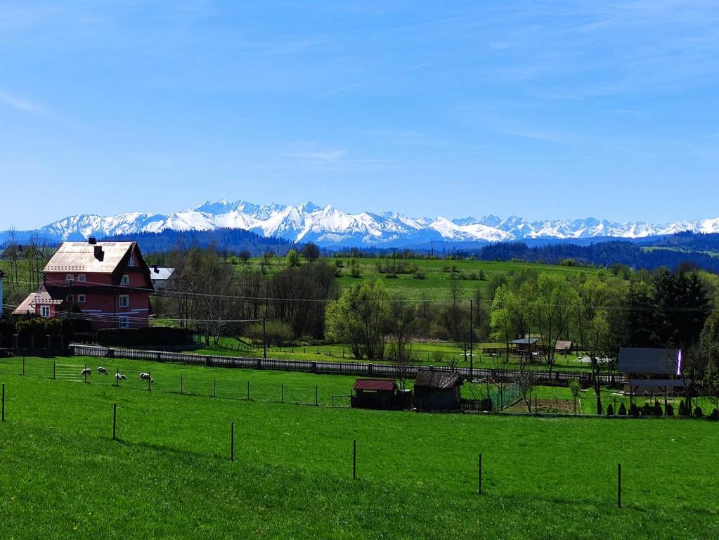 Príroda v okolí chaty v prírode