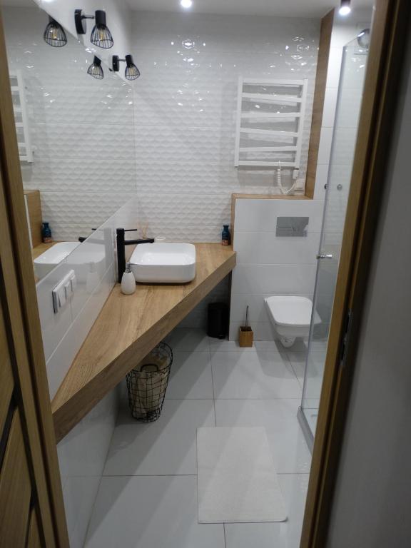 Kúpeľňa v ubytovaní Apartament Górska Fantazja