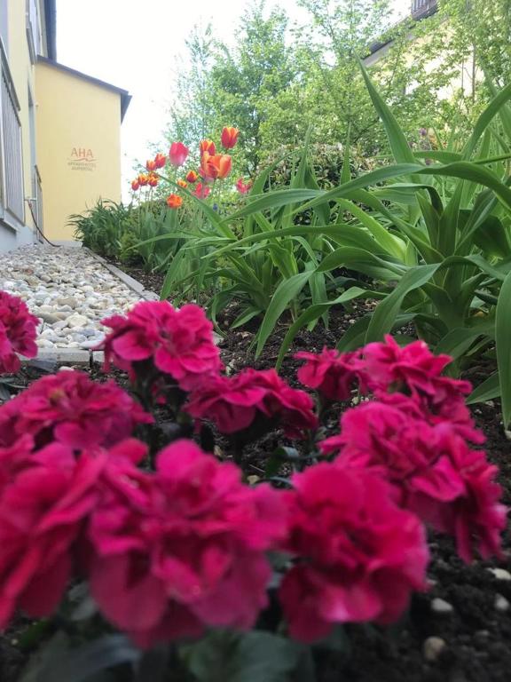 Zahrada ubytování Apparthotel Ampertal