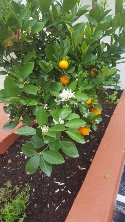 Boutique Hotel Nice Côte d'azur - Resim 28