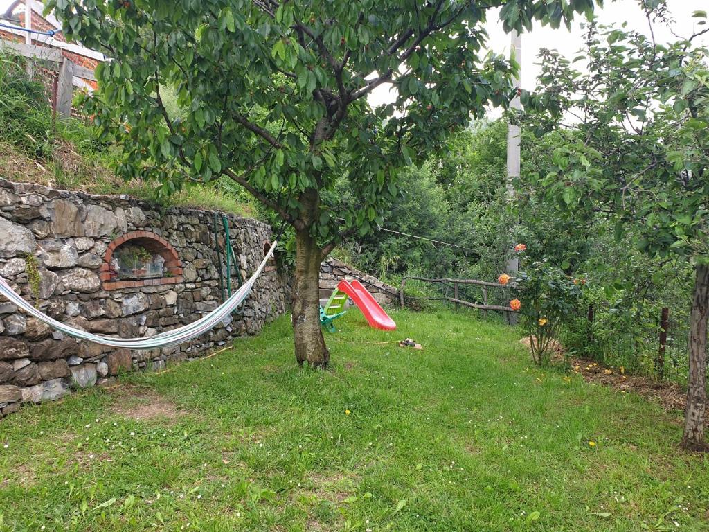Vonkajšia záhrada v ubytovaní Ca' Olivella