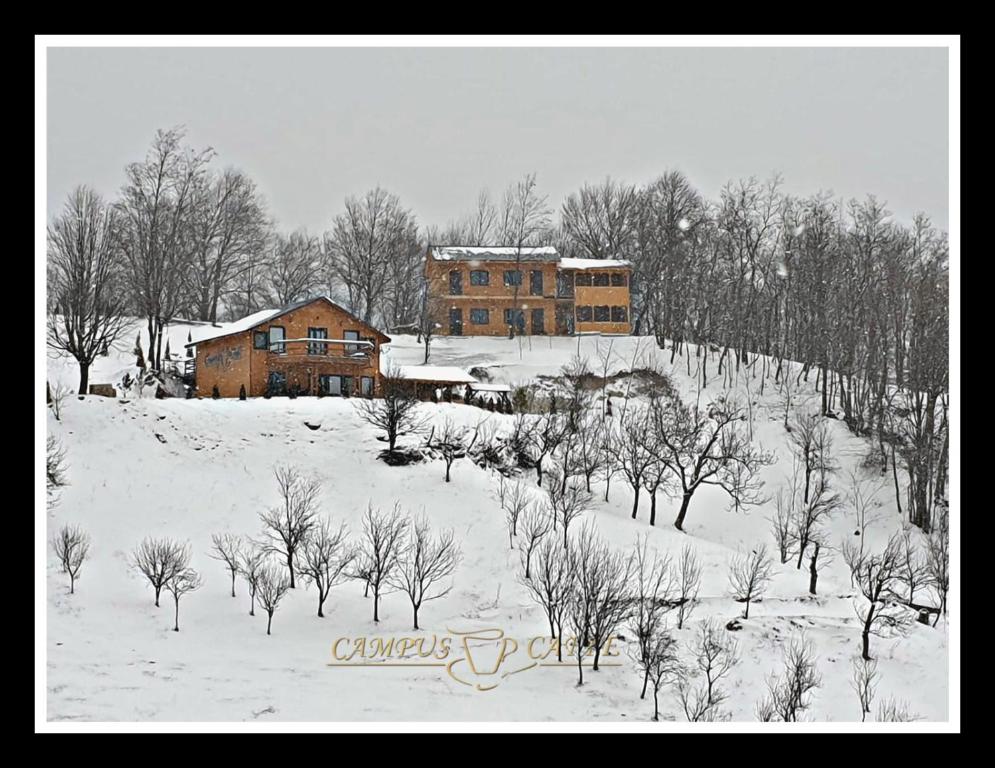 a house on top of a snow covered hill with trees at Cabana Campus Caffe - Camere Individuale in Sările