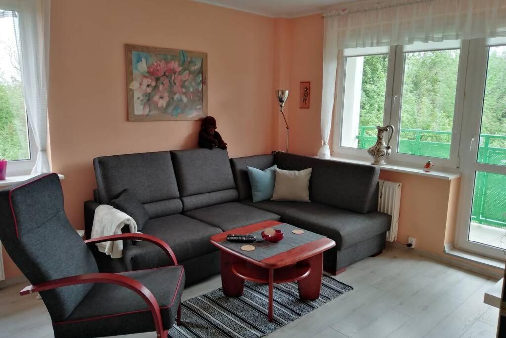 een woonkamer met een bank en een tafel bij Apartament Arkoński in Szczecin