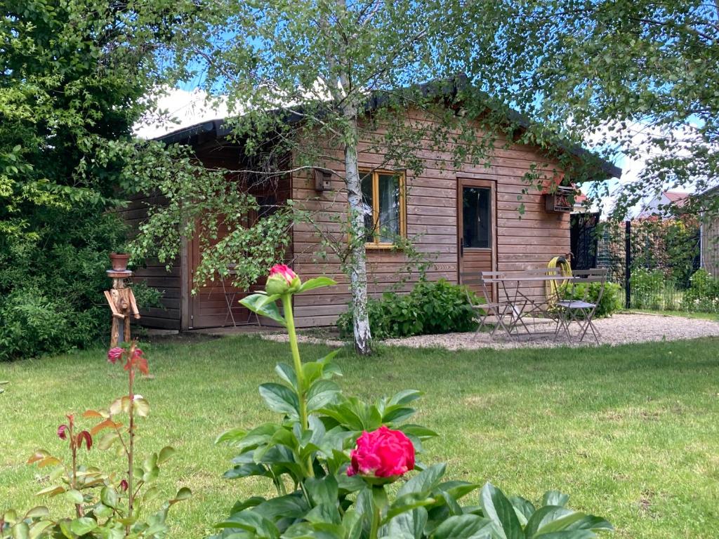 ein kleines Backsteinhaus mit einer roten Rose davor in der Unterkunft Chalet proche Orleans centre in Saint-Jean-le-Blanc