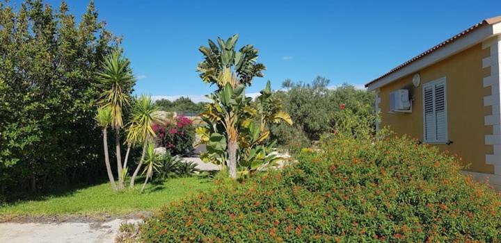 un patio con palmeras y una casa en Villa Enea - ad uso esclusivo dei nostri ospiti, en Solarino