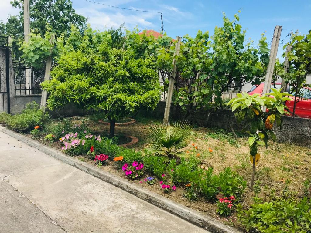 Baka Guest House - Image 6