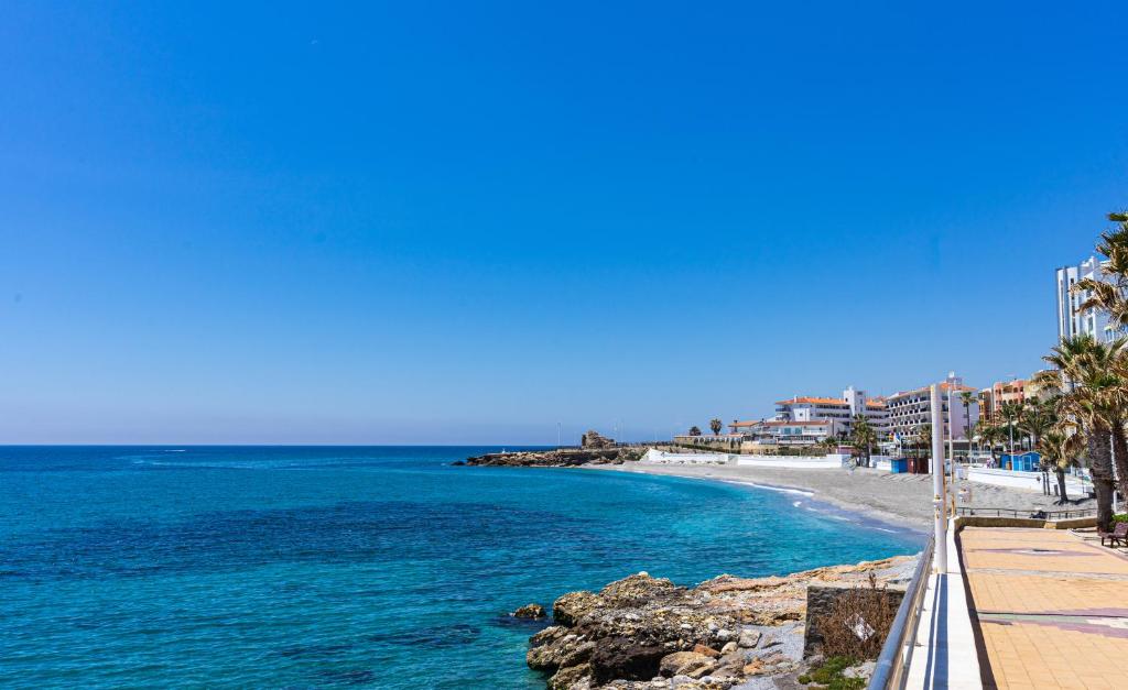 vista su una spiaggia con palme e sull'oceano di Andaluz Apartments Torrecilla a Nerja