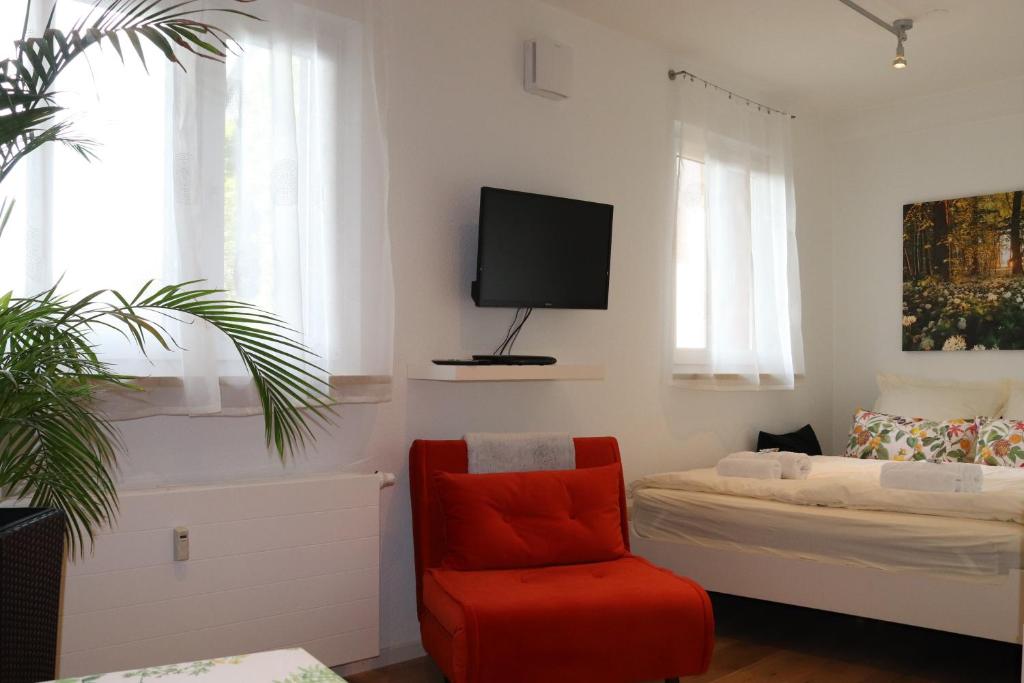 um quarto com uma cama e uma cadeira e uma televisão em Casa Stetten em Lörrach