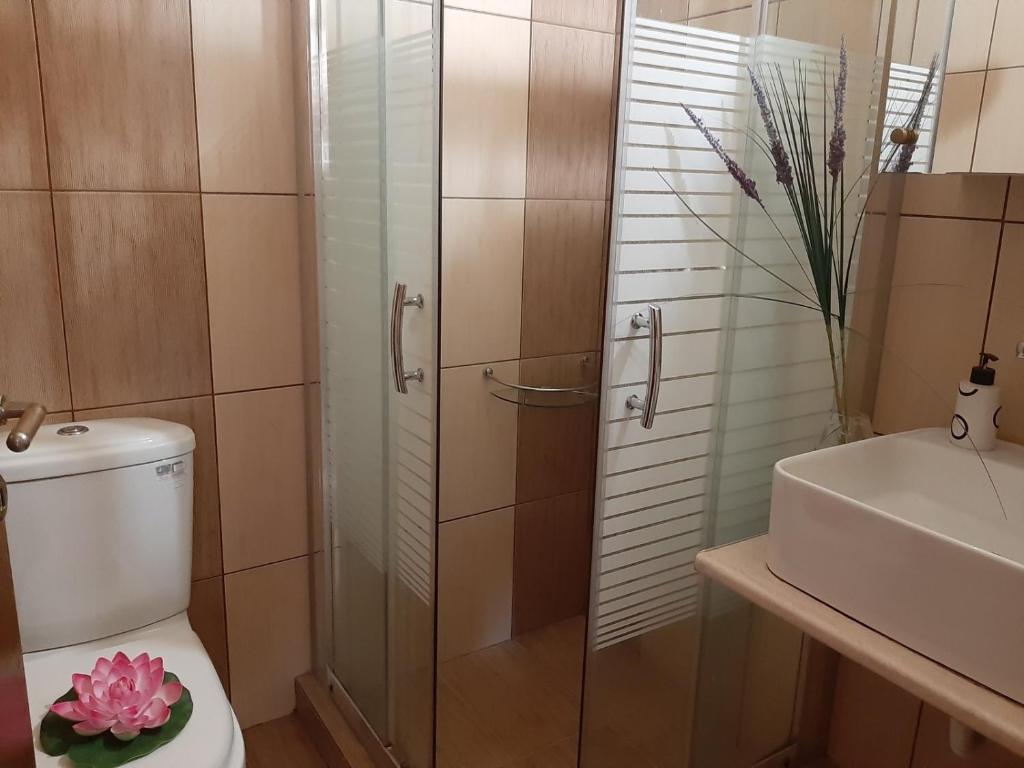 a bathroom with a shower and a toilet and a sink at Palio Villa in Paleo Tsifliki