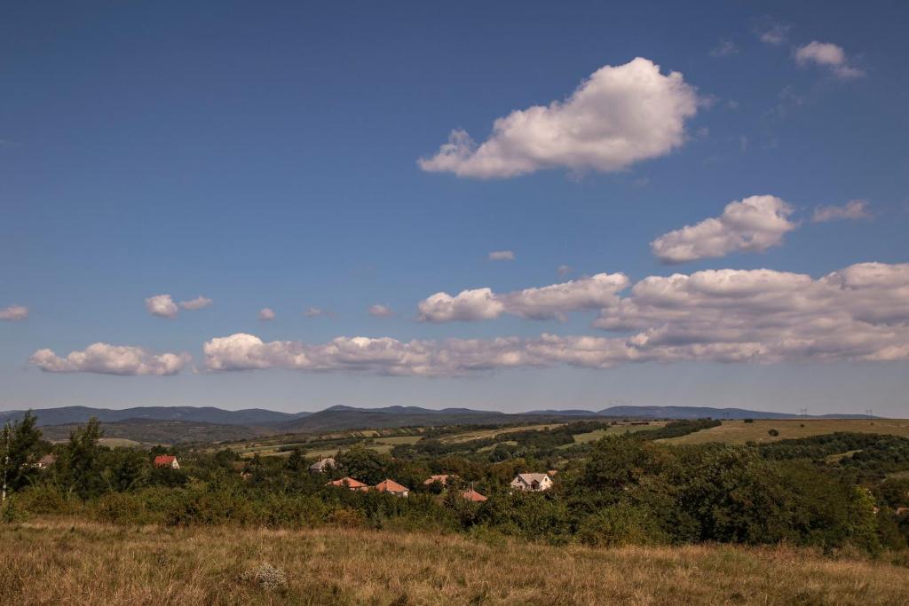 Příroda nedaleko apartmánu