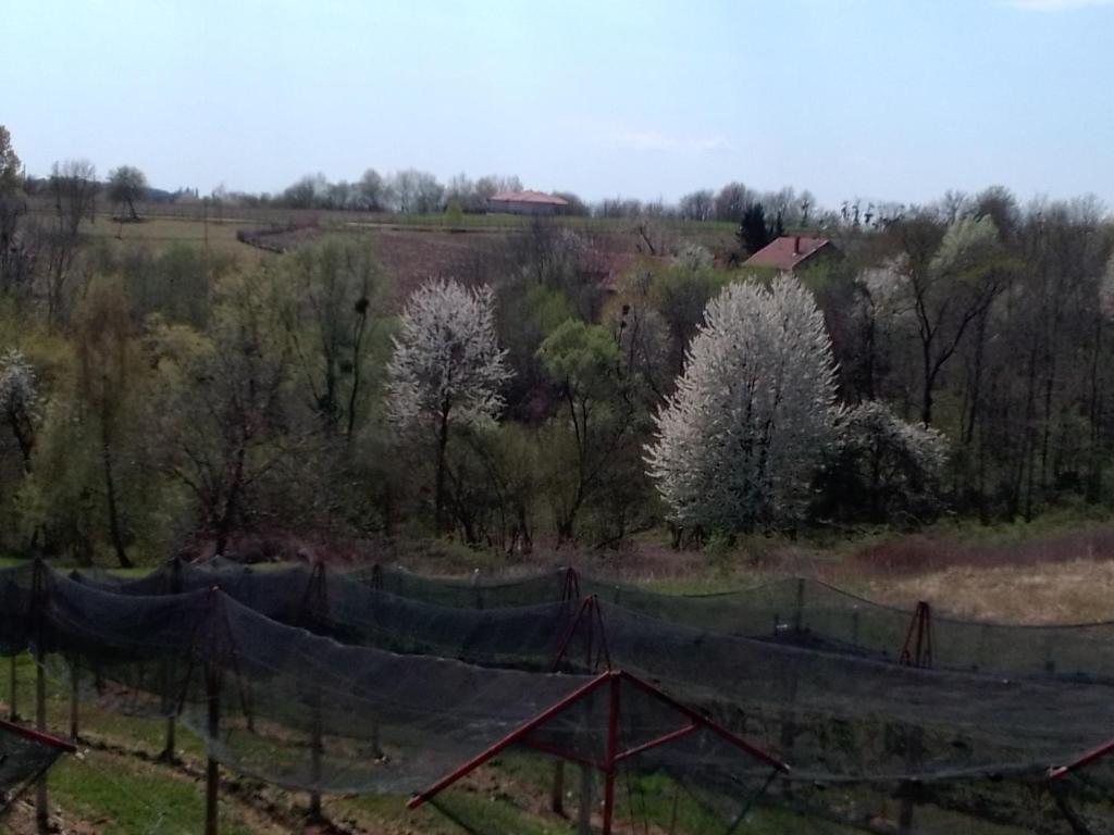 einen Zaun auf einem Feld mit Bäumen im Hintergrund in der Unterkunft Studio apartman Šafarić in Sveti Martin na Muri