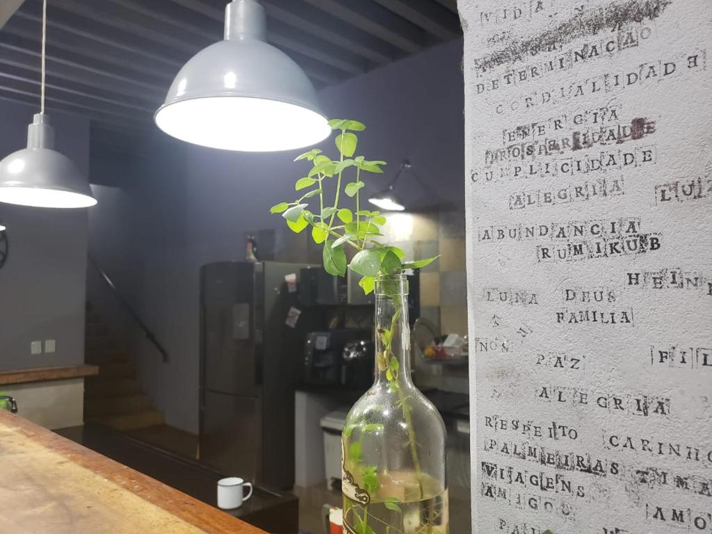  Quintal Secreto Brotas SP