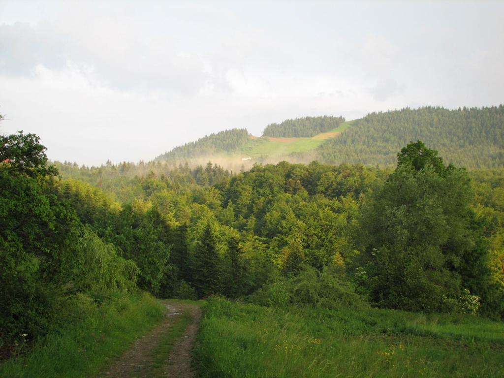Fotografia z galérie ubytovania Gospodarstwo Agroturystyczne U KRYSTYNY Krystyna Kurczab v destinácii Limanowa