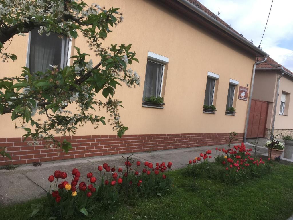 a house with red tulips in front of it at Szundivendégház in Mórahalom