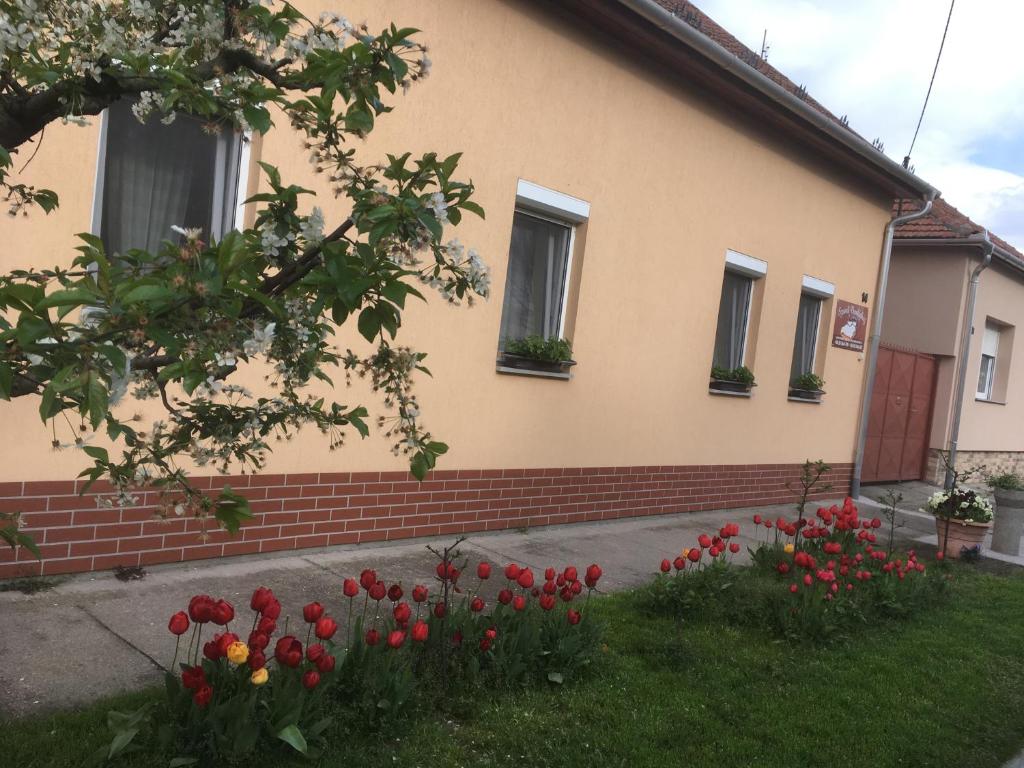 Szundivendégház 6782 Mórahalom, 14 Honvéd utca kép - 1