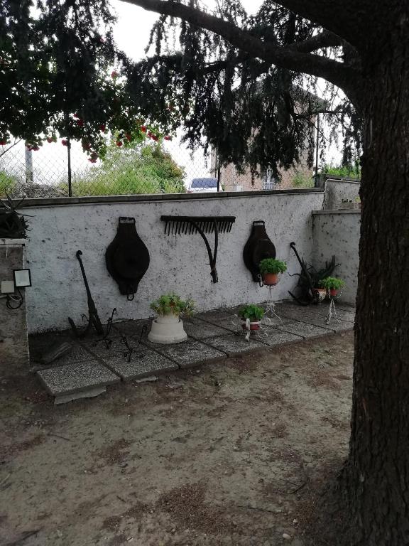 Ogród w obiekcie Villa Lilli 3