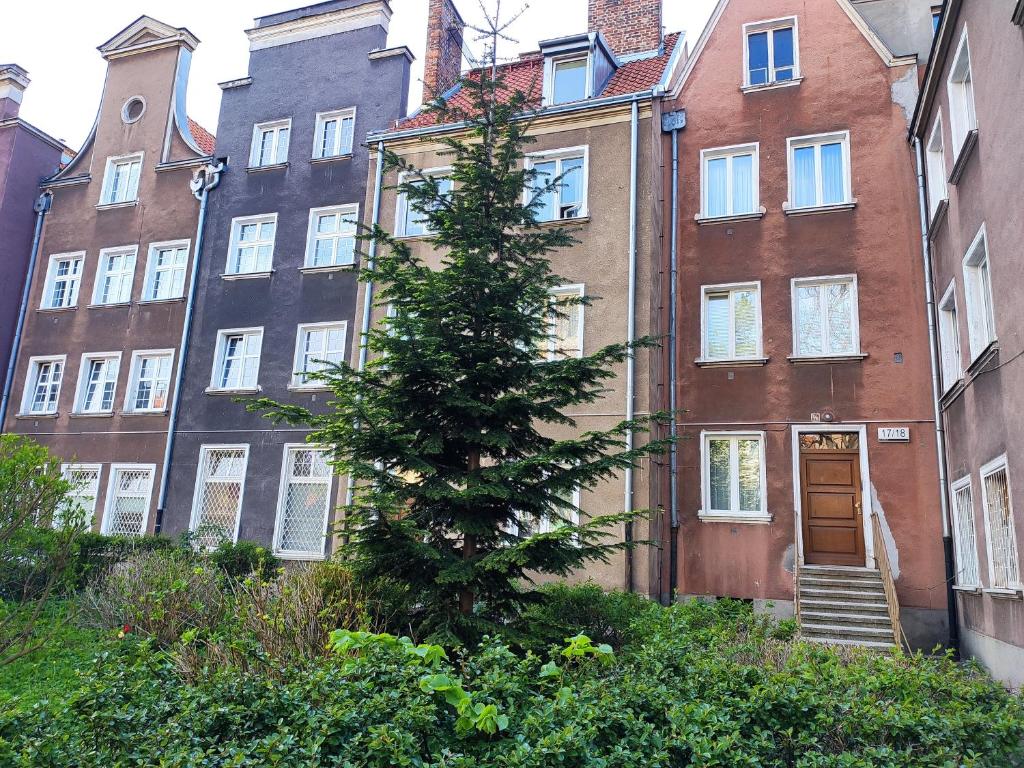 Luxury in Old Town - 19