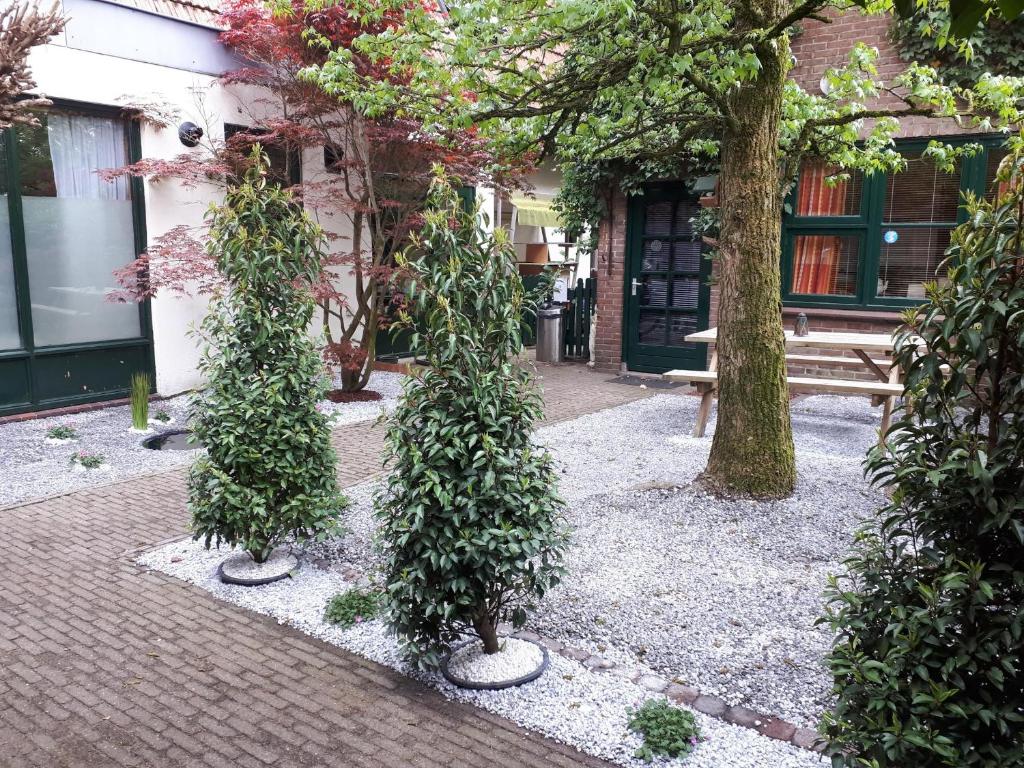 un grupo de árboles frente a un edificio en familiehuis Benboverijssel en Haaksbergen