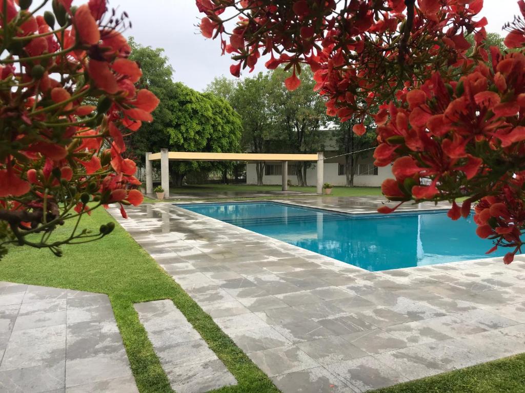 einen Pool in einem Garten mit Bäumen in der Unterkunft Hotel Villablanca in Tehuacán