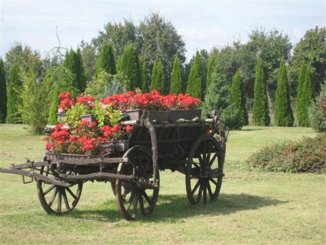 Zahrada ubytování Barokk Hotel