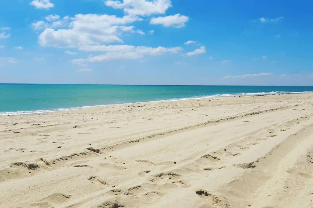 a beach with footprints in the sand and the ocean at Un appartement de charme à Hammamet in Hammamet
