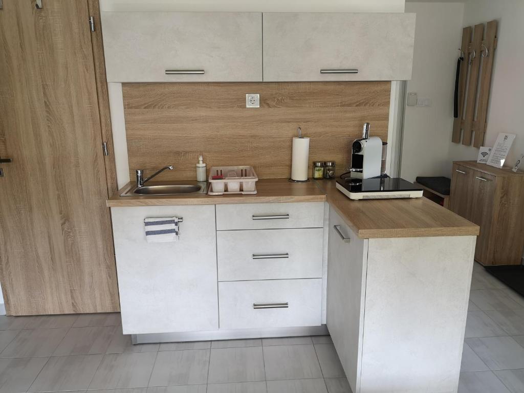 Kuchyň nebo kuchyňský kout v ubytování Ady Apartmanház