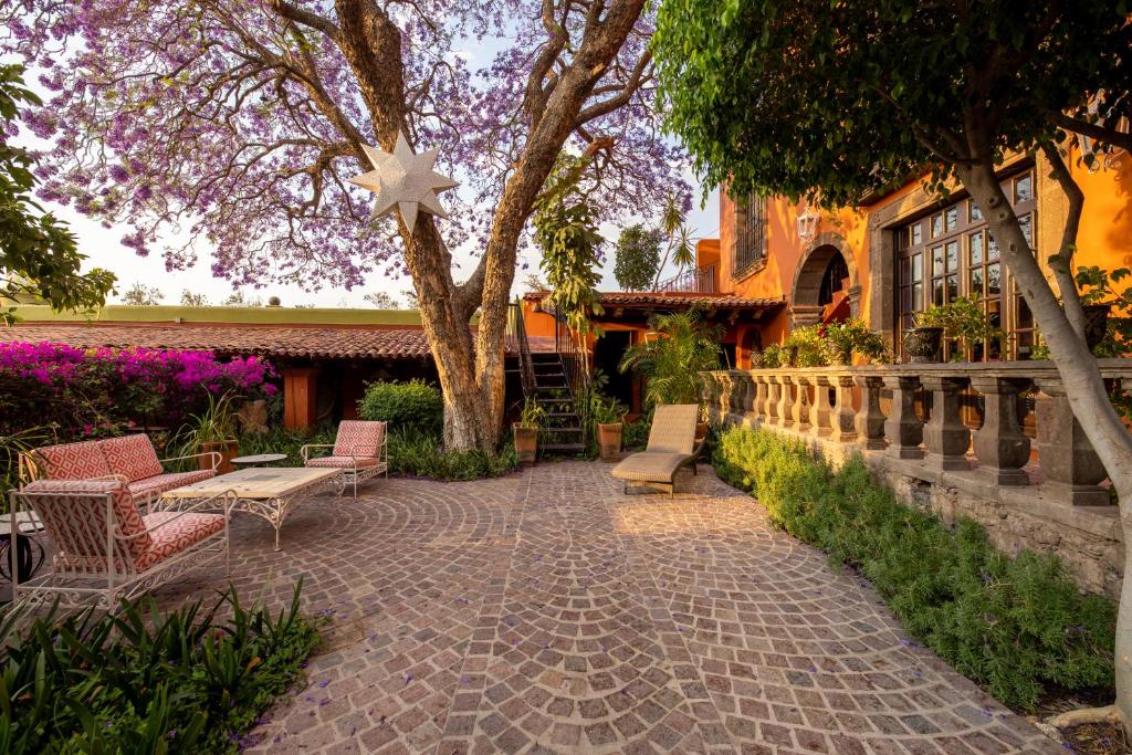 Zahrada ubytování Casa Schuck Boutique Hotel