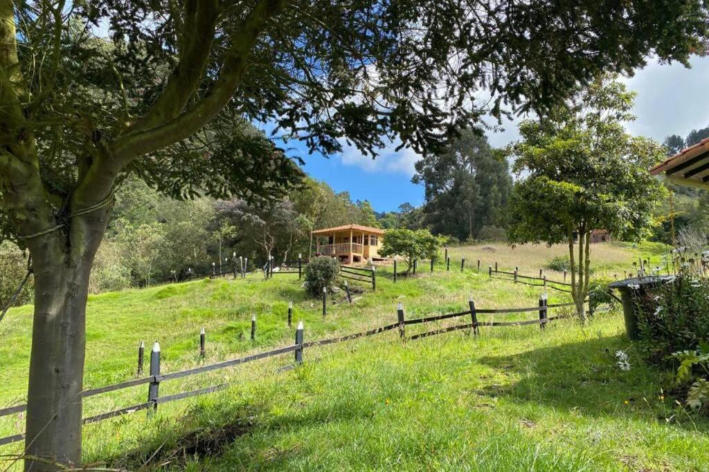 Un refugio en las montañas de Tabio - 一居室小木屋