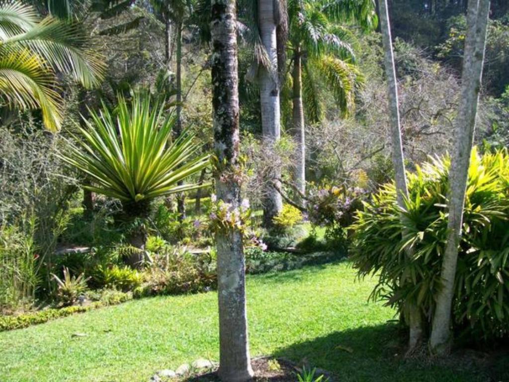  um pedaço do paraíso