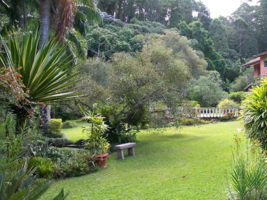  um pedaço do paraíso