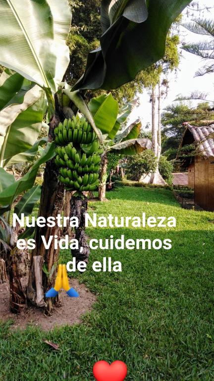 Zahrada ubytování Estancia La Colina