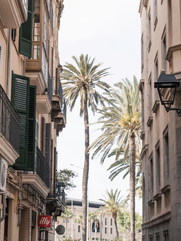 Ocho Suites & Kitchen, Palma de Mallorca – Bijgewerkte ...