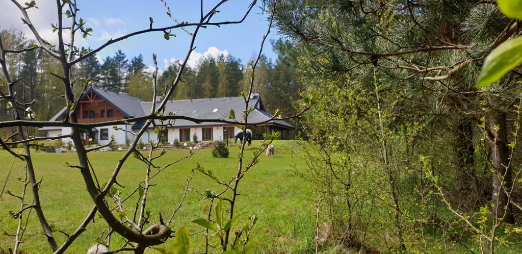 Zahrada ubytování Majątek Morgi